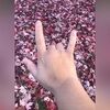 lilly_venegas